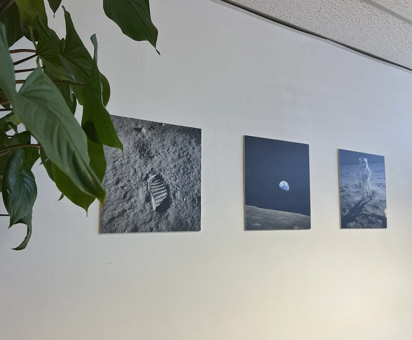 image of a team members wall with moon pictures